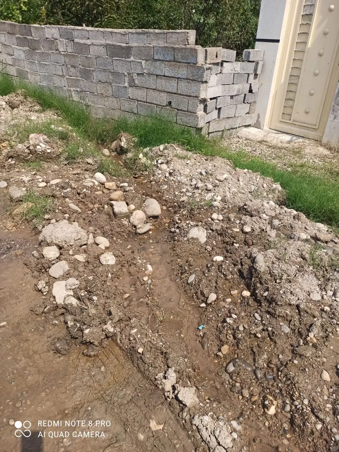 250متر باغچه