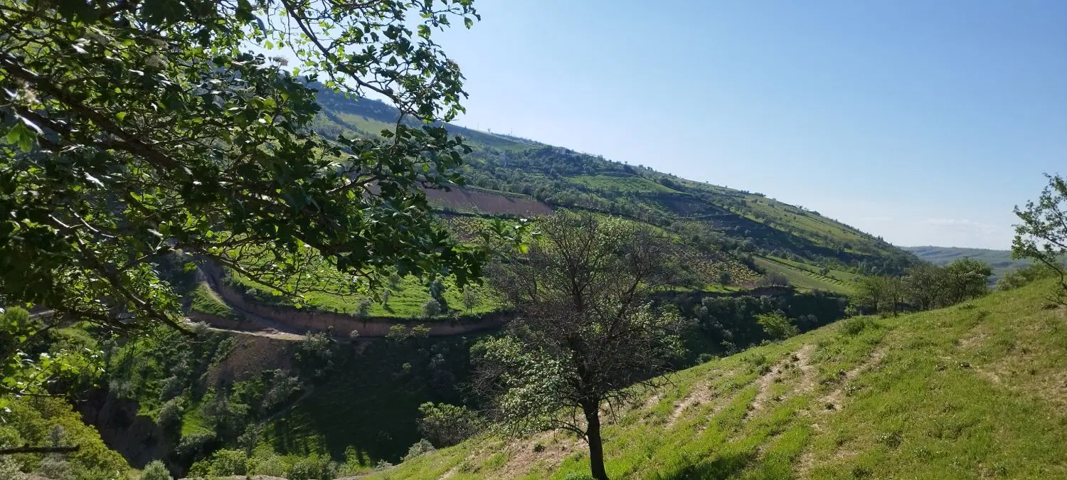 زمین ویلایی در حاشیه روستای مملجه