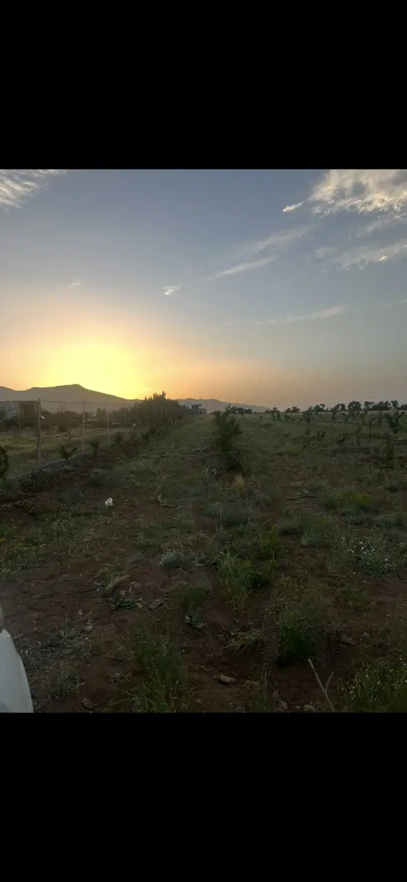 زمین باغی