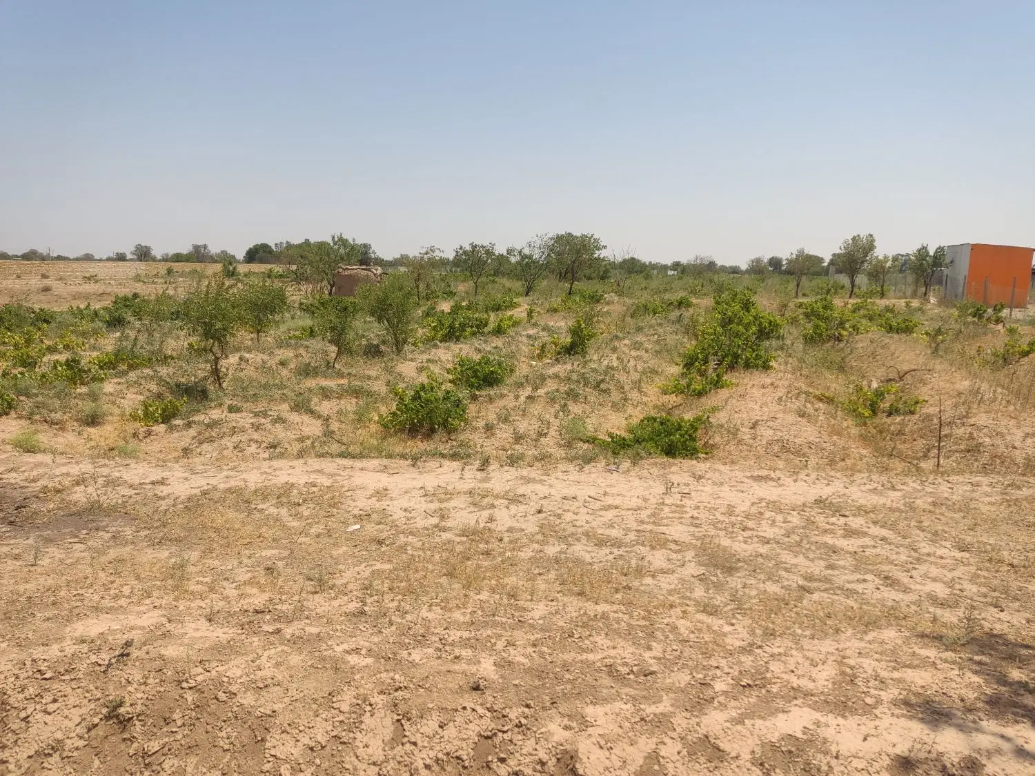 زمین کشاورزی بحر جاده اک