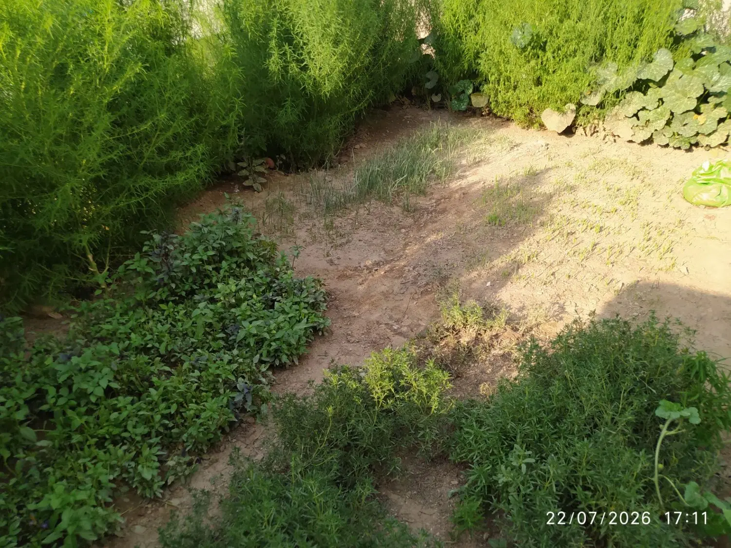 رهن واجاره