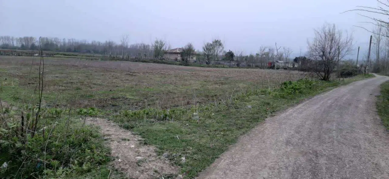 5564 زمین مسطح ماسال، شاندرمن، روستای قران