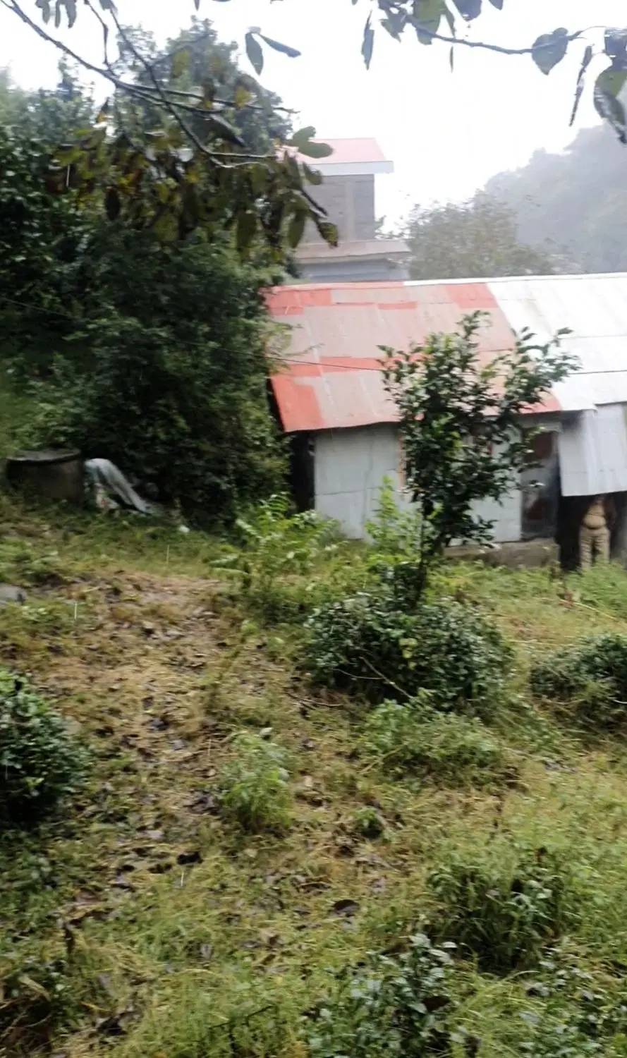 زمین مسکونی باغی ۲۵۰۰ دیوشل