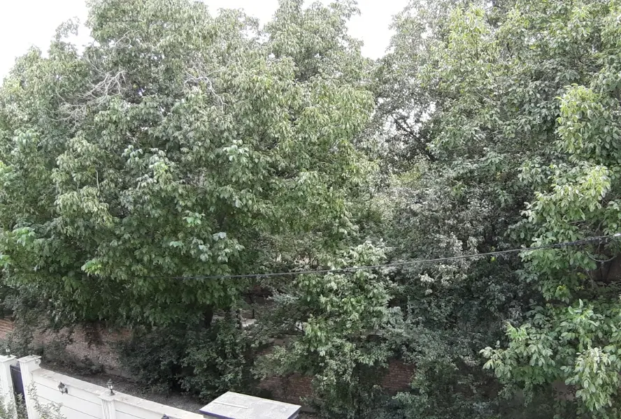 رهن کامل خانه ویلایی دربست