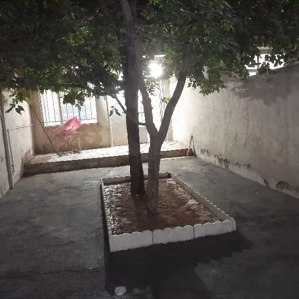اجاره ویلایی دربست