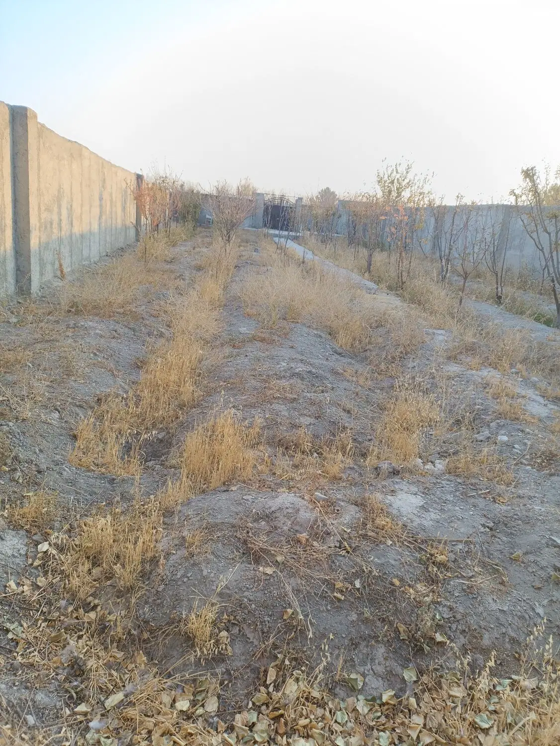 فروش زمین