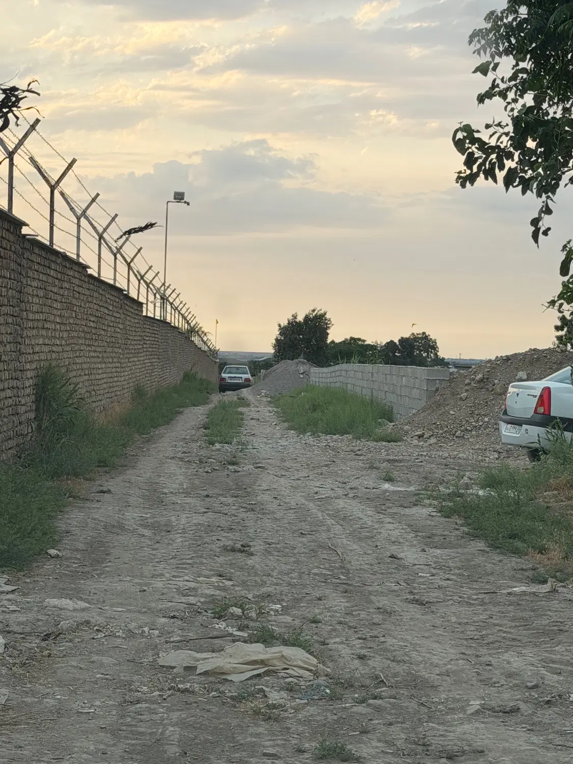 زمین باغی