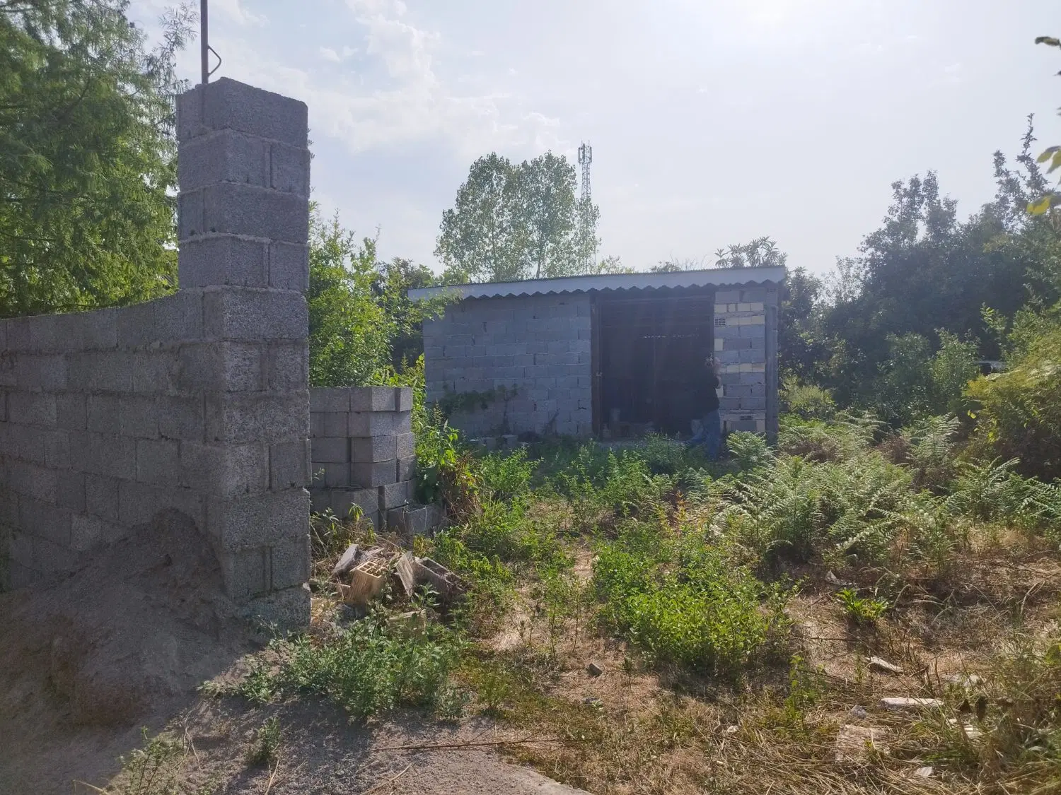 زمین مسکونی تک برگ سند کفترود