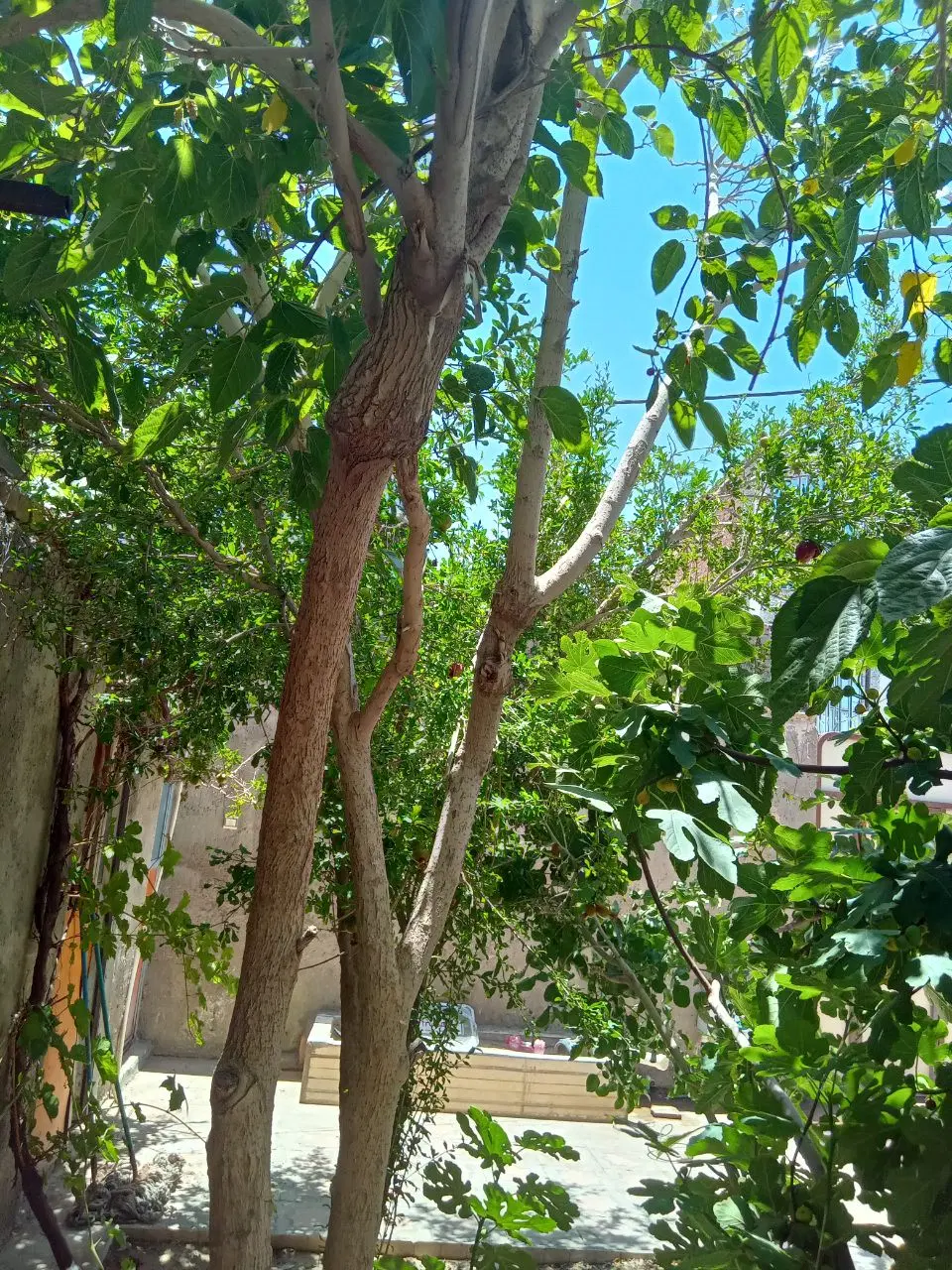 خانه ویلایی فروشی