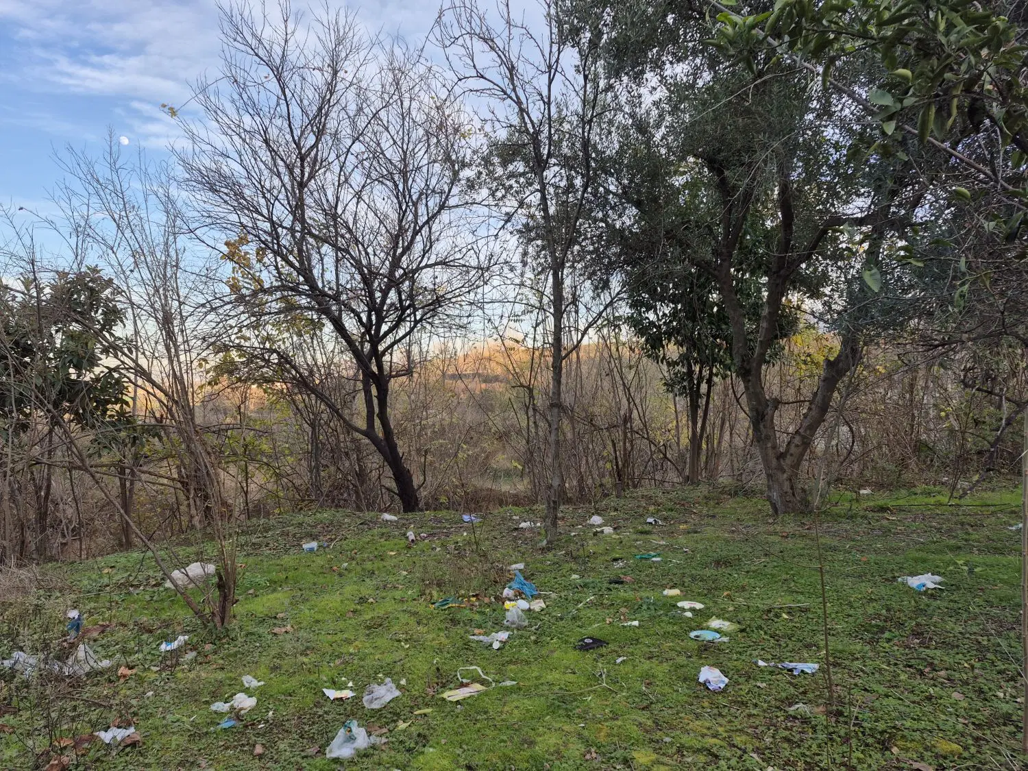 زمین مسکونی در روستای میاندره