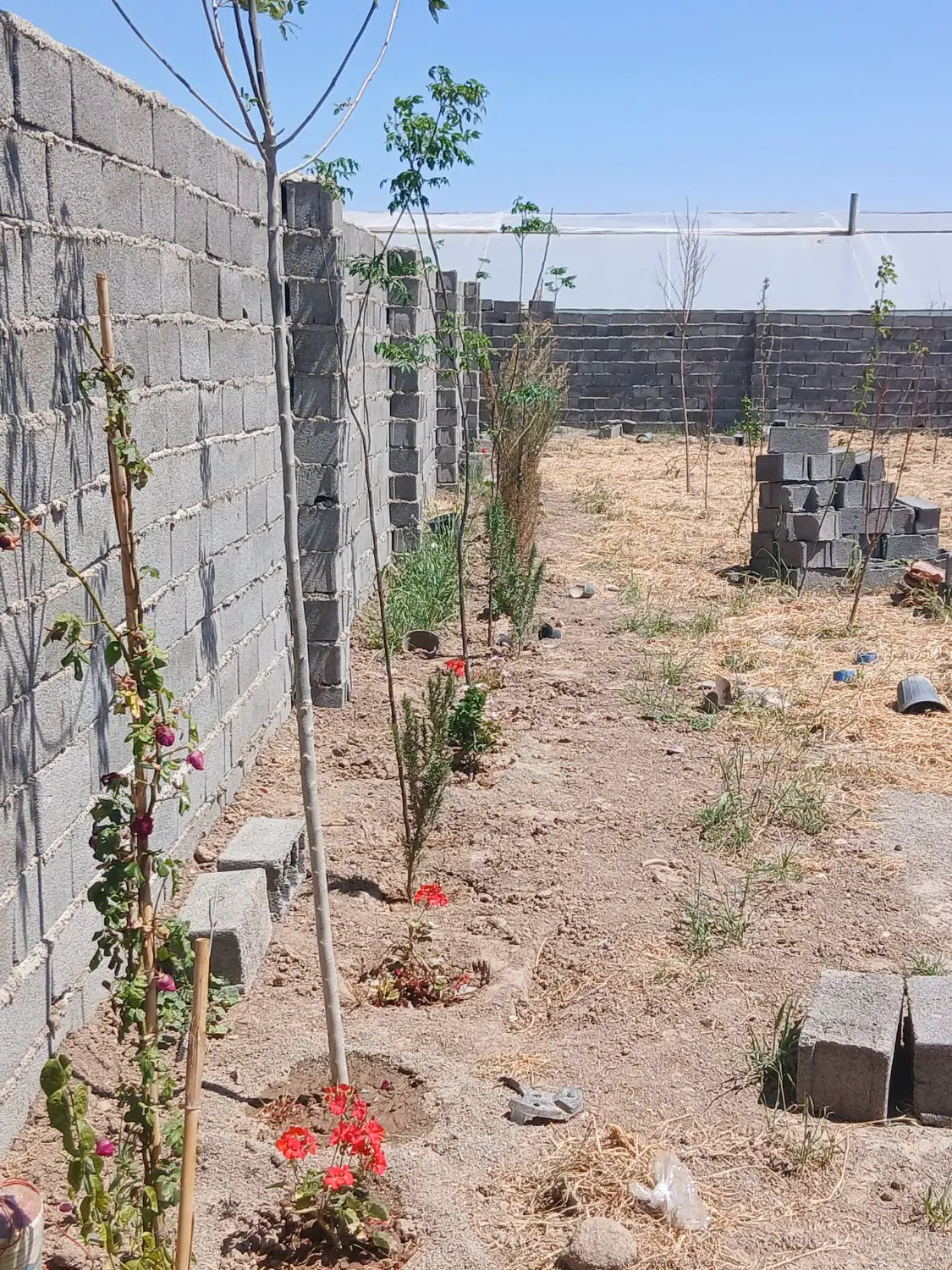فروش  فوری چهاردیواری سه نبش