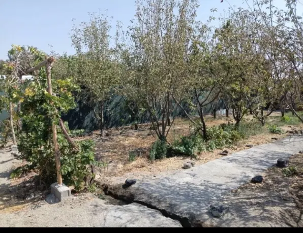 باغچه ۲۸۰ متر فیروز بهرام