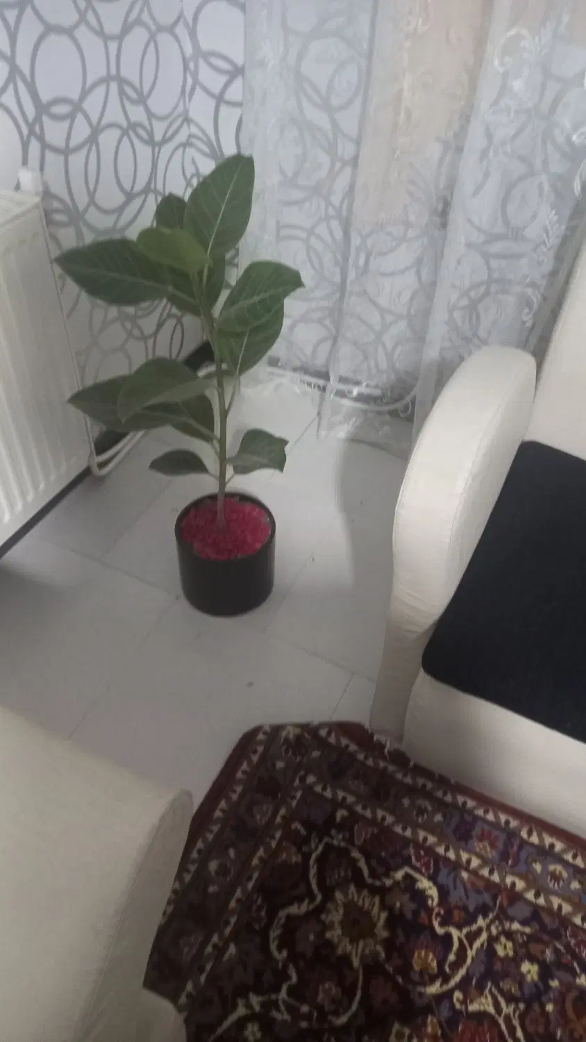 همخانه