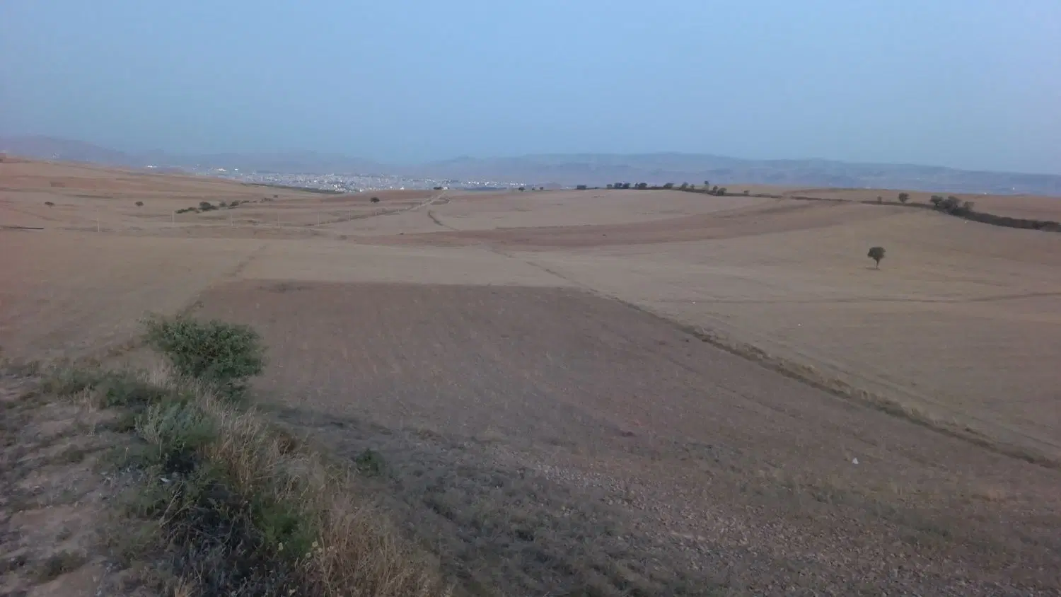 زمین باغی