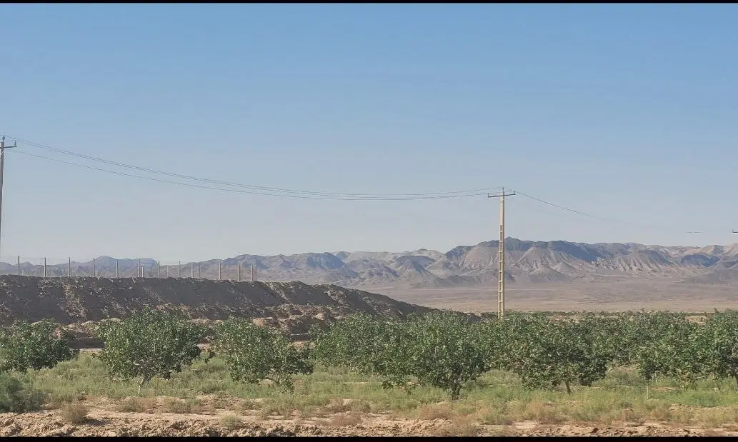 مزرعه ۶۰هکتاری با آب شیرین کد ۳۰۰
