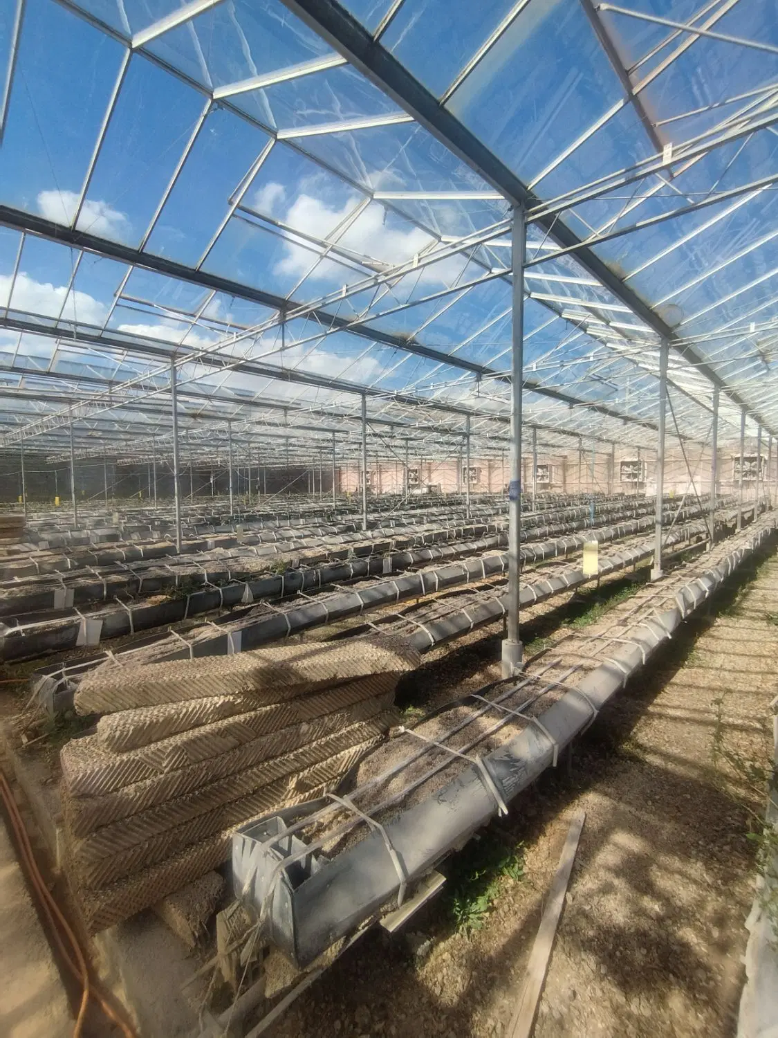 گلخانه هیدروپنیک