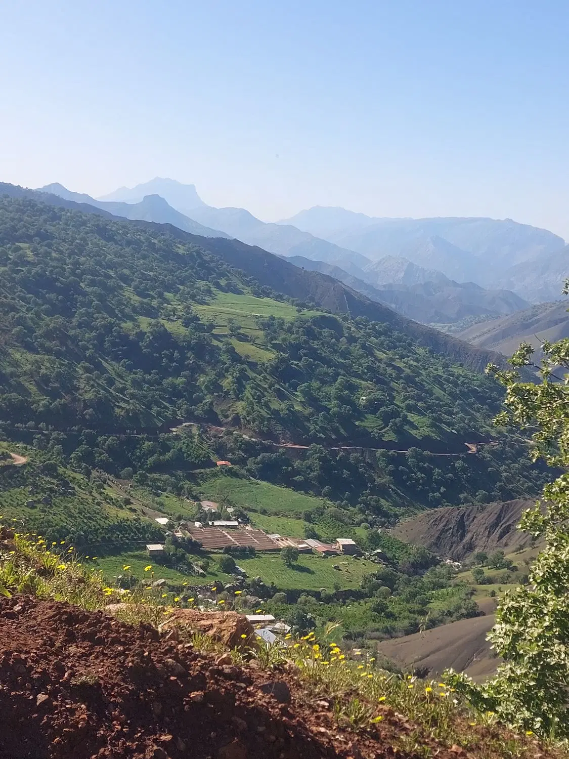 زمین ده هکتاری ۱۷۱ متر