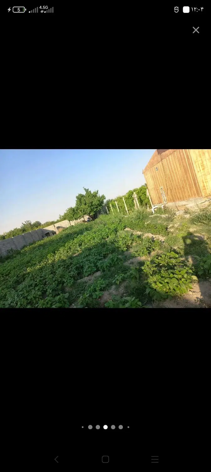 باغ