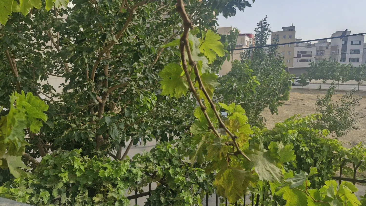 رهن و اجاره آپارتمان سه خواب بلوار معلم . خ سمیه