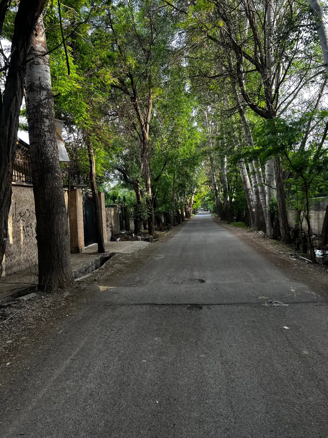 زمین سند دار سهیلیه درختی لشگرآباد