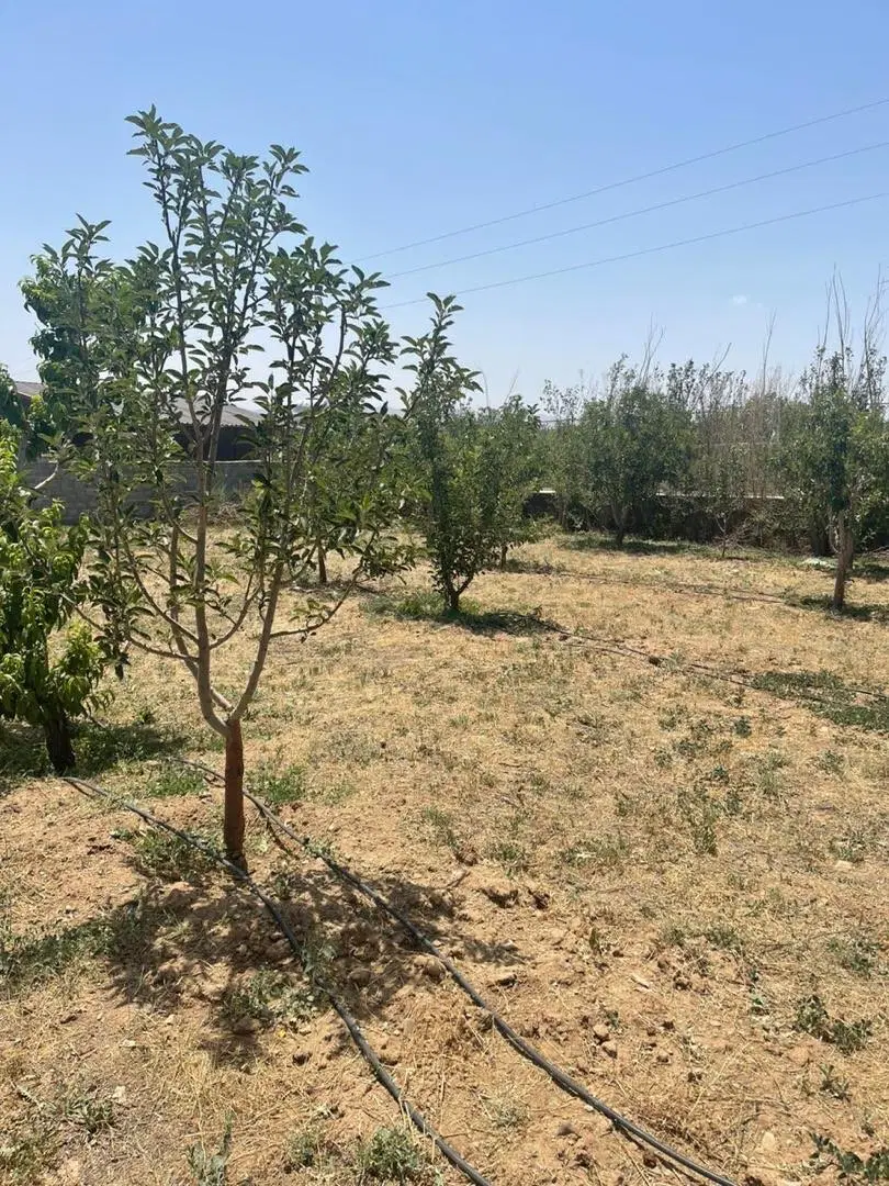 زمین جابان دماوند