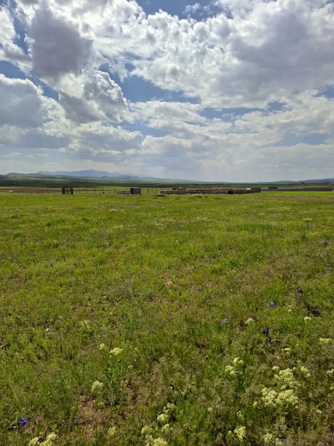 زمین روستای کُهُل