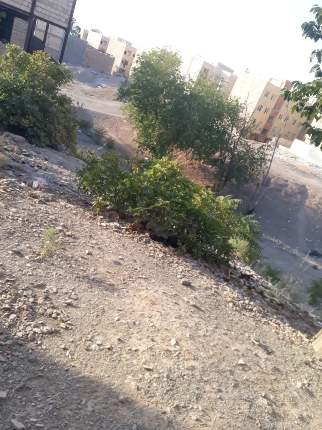 زمینی در منطقه شهرستان پیشوا