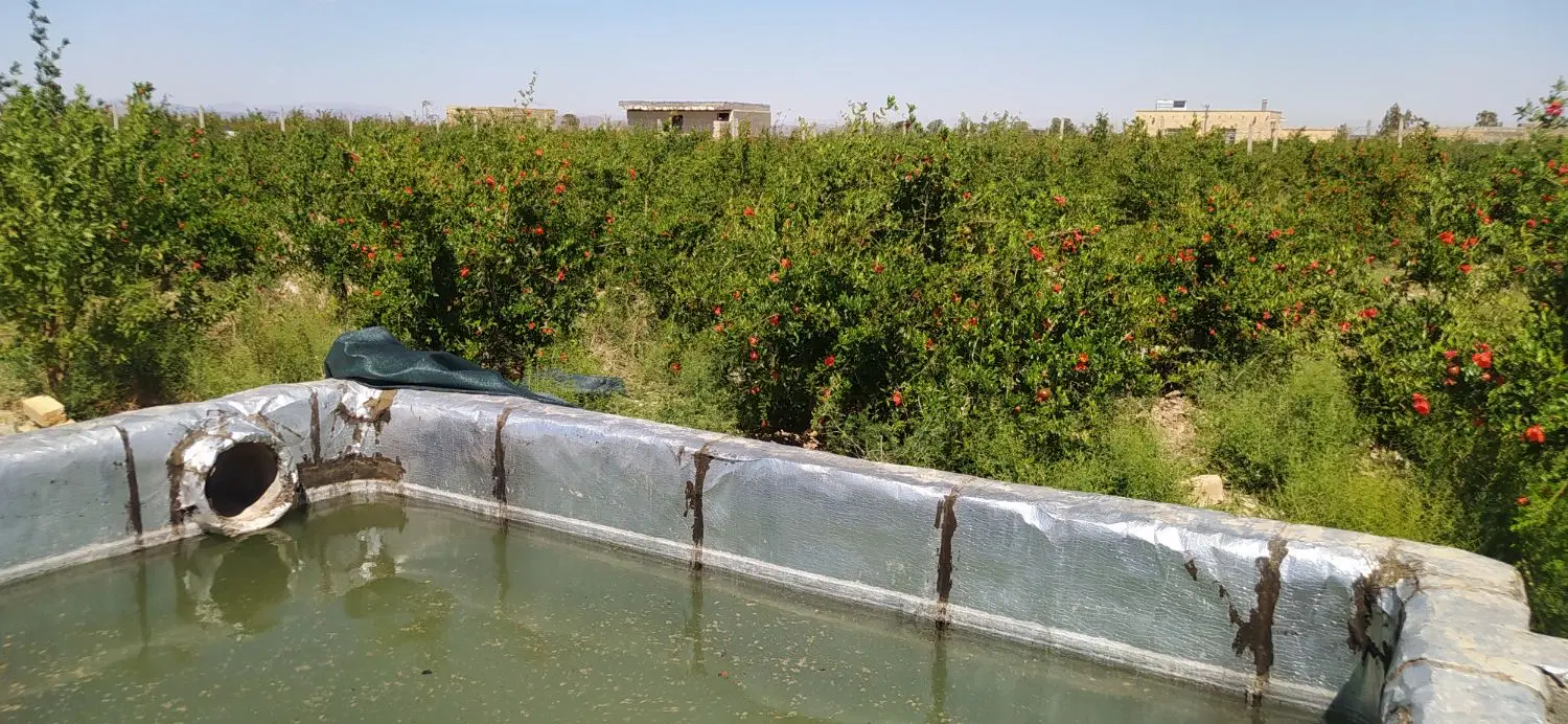 باغ انار 2800