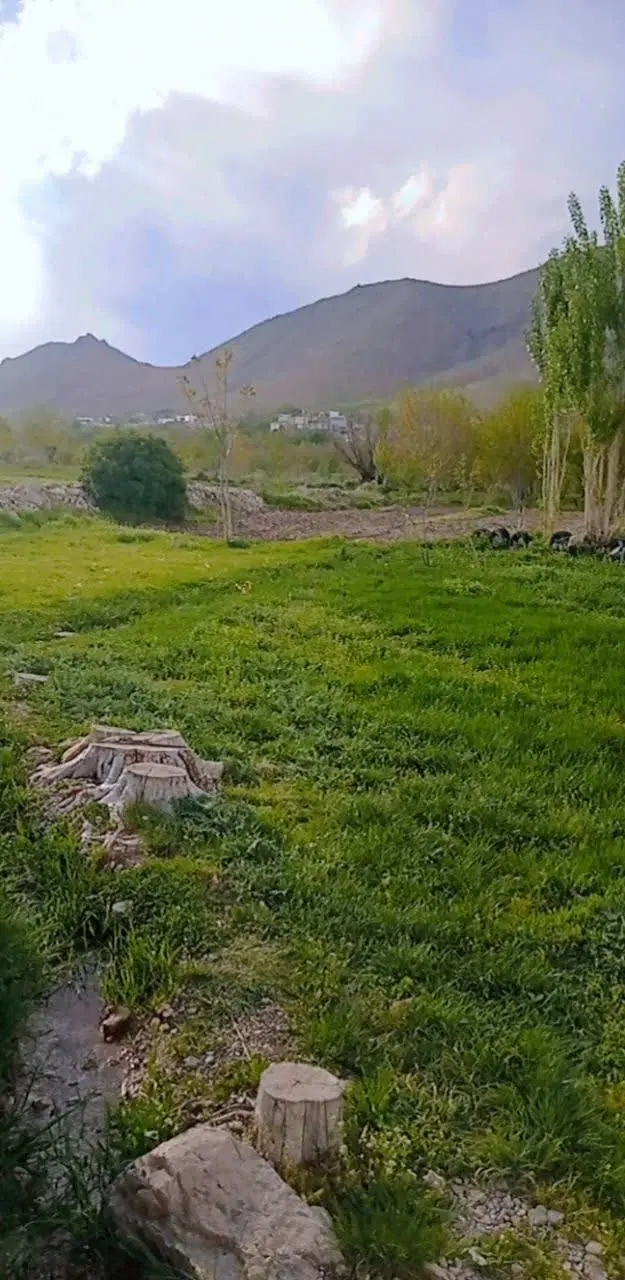 فروش زمین