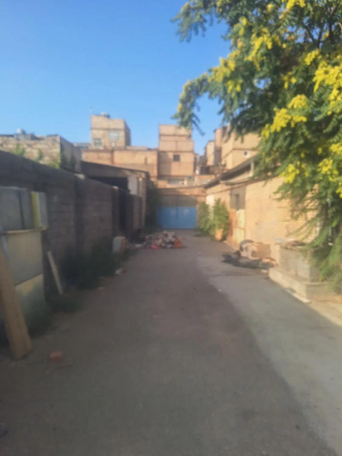 سوله فروشی در کشاورز یک (مقابل کاوه معروف)