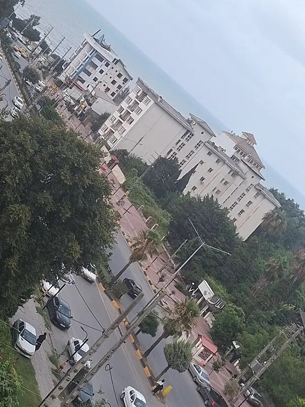 زمین چالوس رادیو دریا جواز دار سند تک برگ
