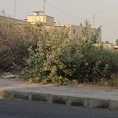 فروش زمین۲هزارمتری گلشهرشمالی