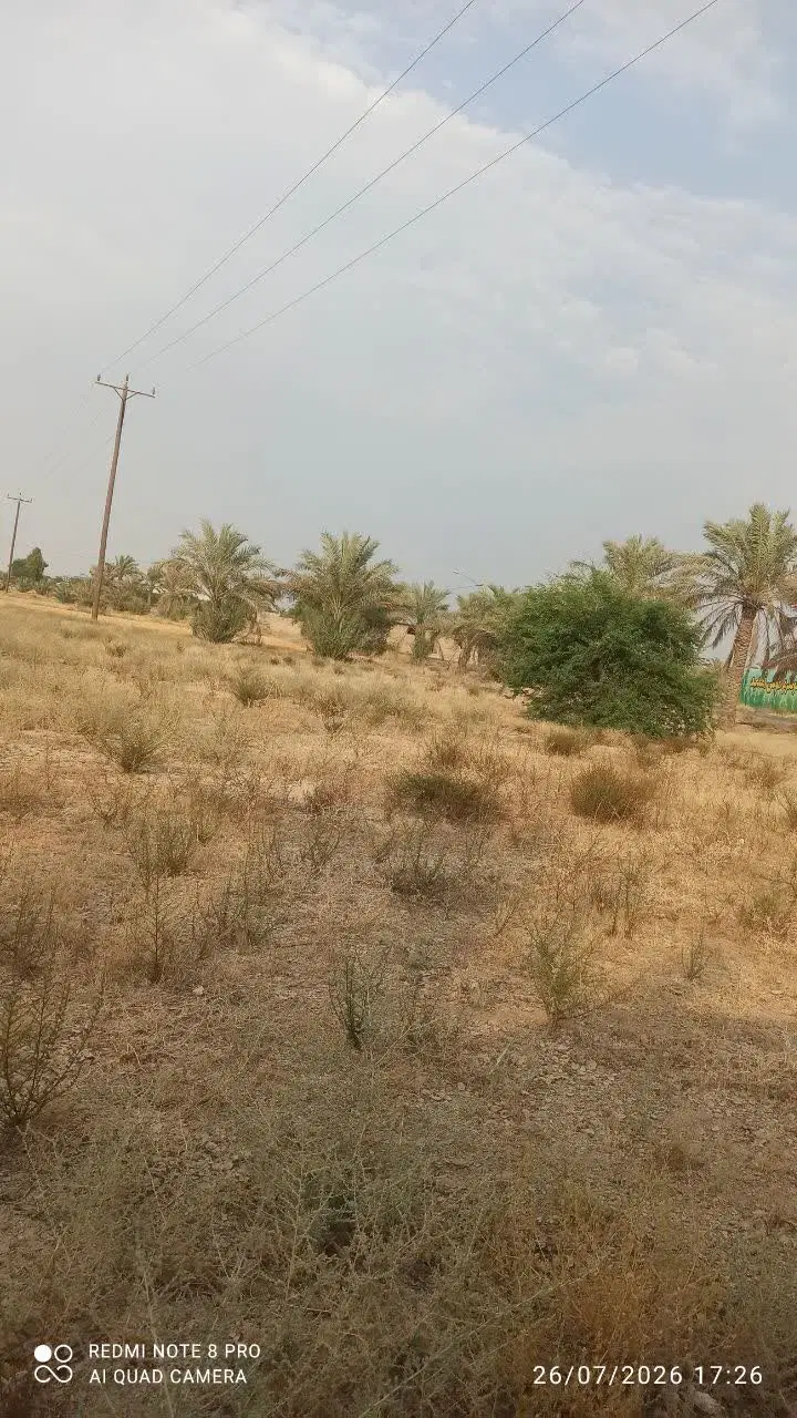زمین خونه باغ روستای میاندشت تلمبه سعادت