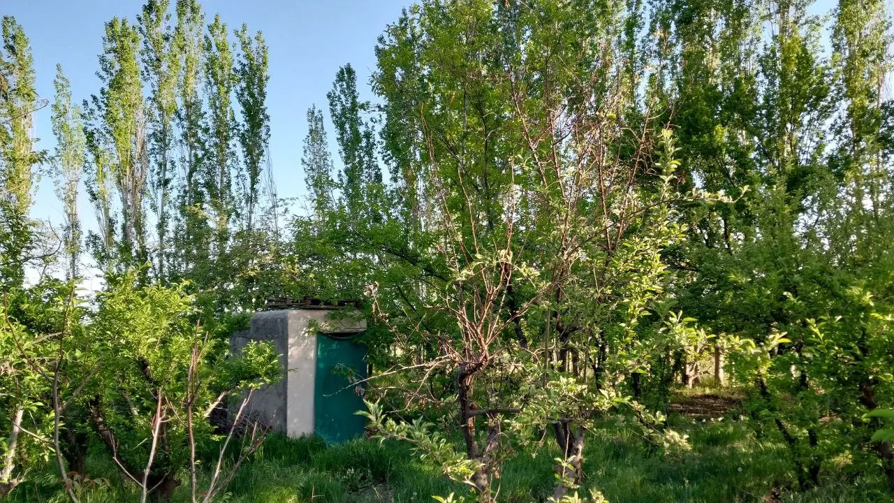 فروش باغ میوه