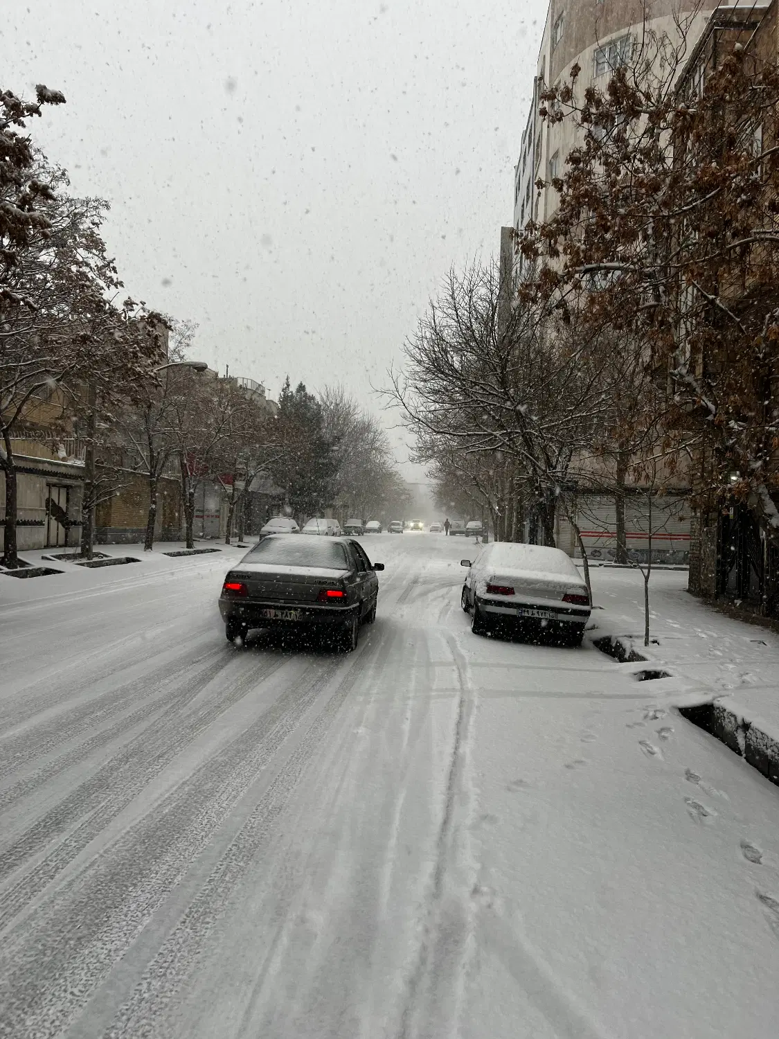 حیاط کلنگی یکه دکان آذربایجان انقلاب حیدراباد ارم