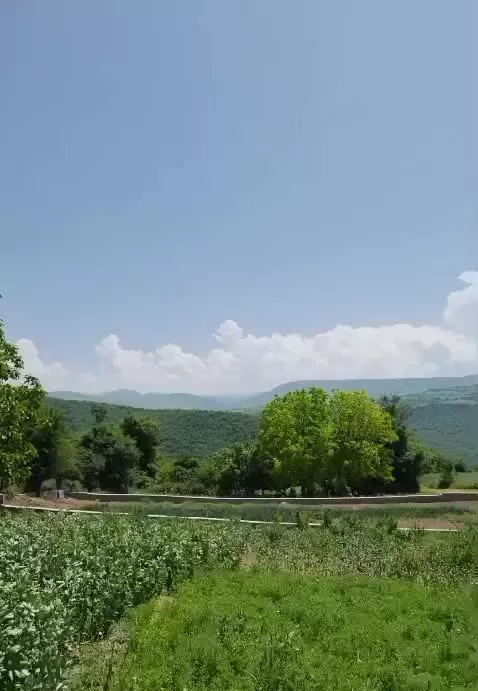 زمین سنددار شمال هزارجریب