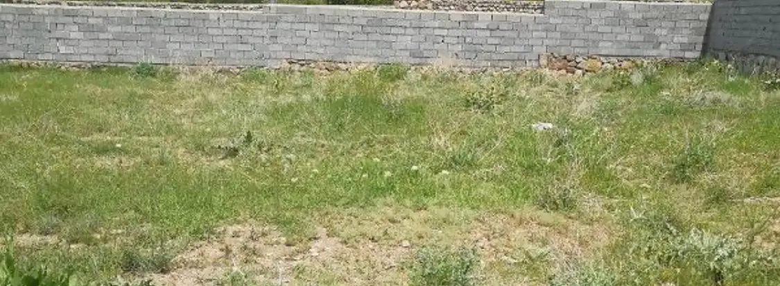 زمین