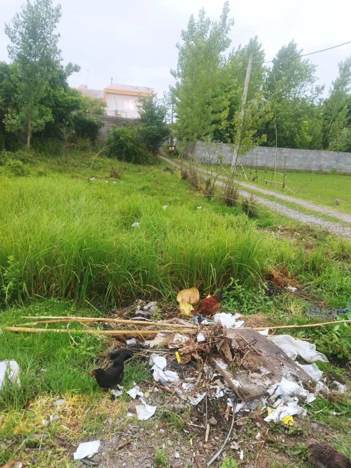 فروش زمین