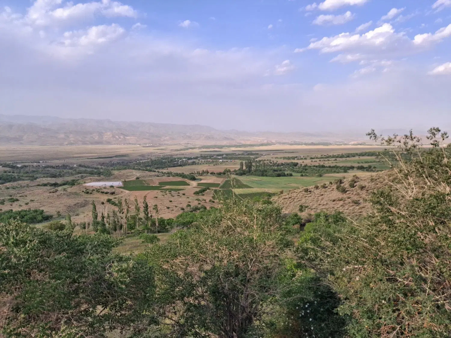 زمین ساردوییه