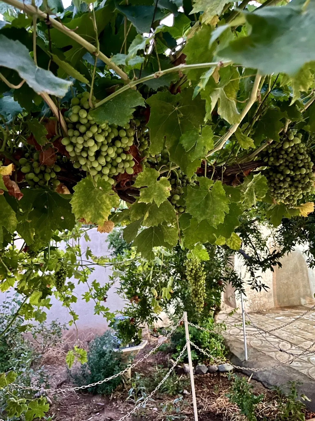 ۲۴۰ متر باغ ویلا ناصرآباد میرپنجی