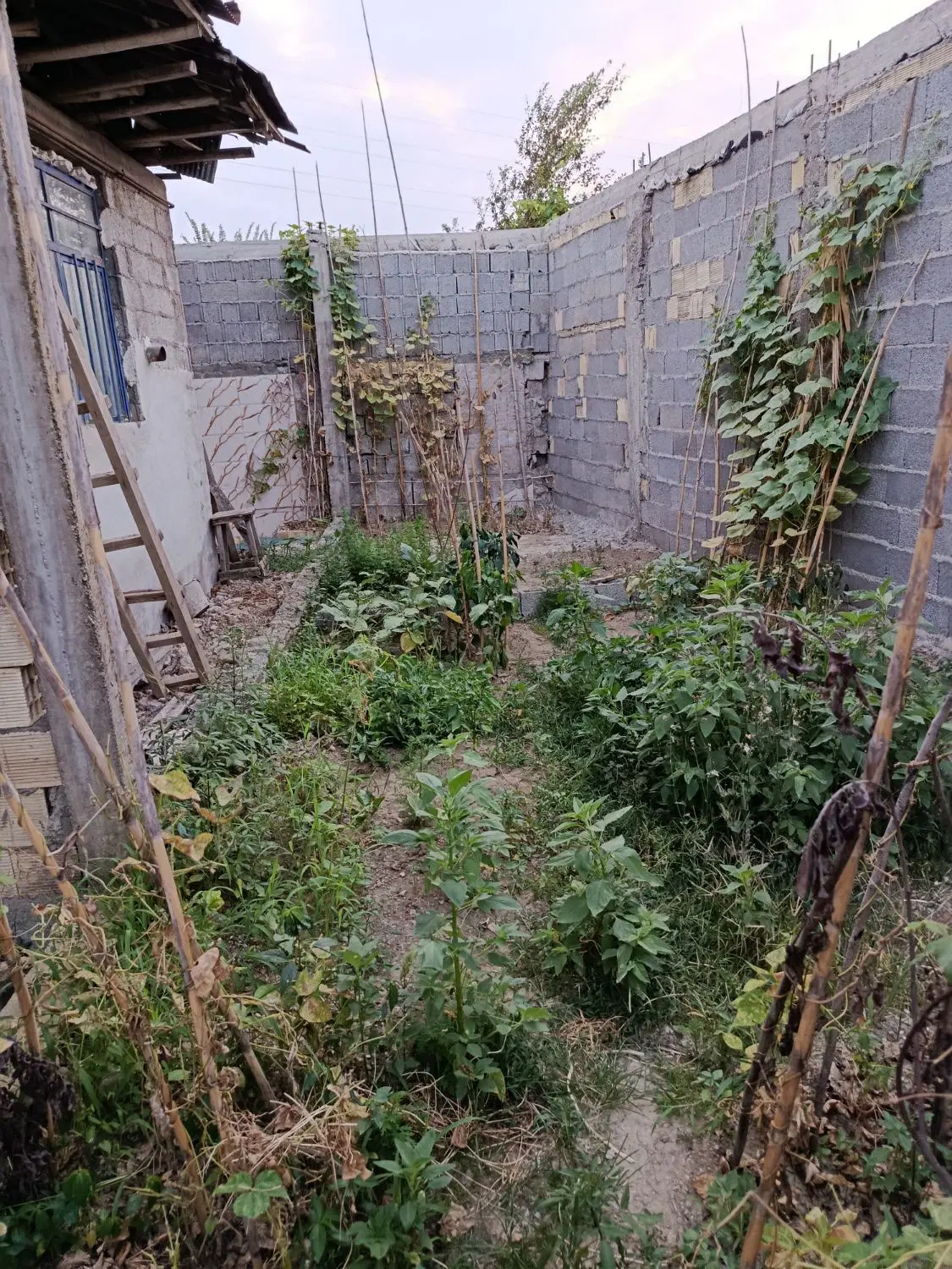 فروش ویلای ۲۲۵ متری در شهرستان شفت