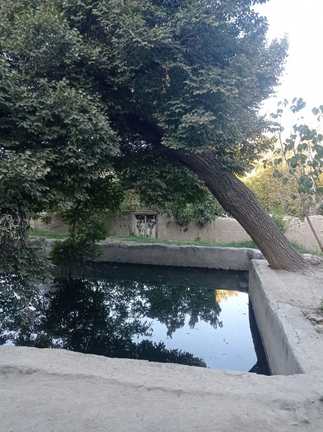 فروش باغ 1800متری