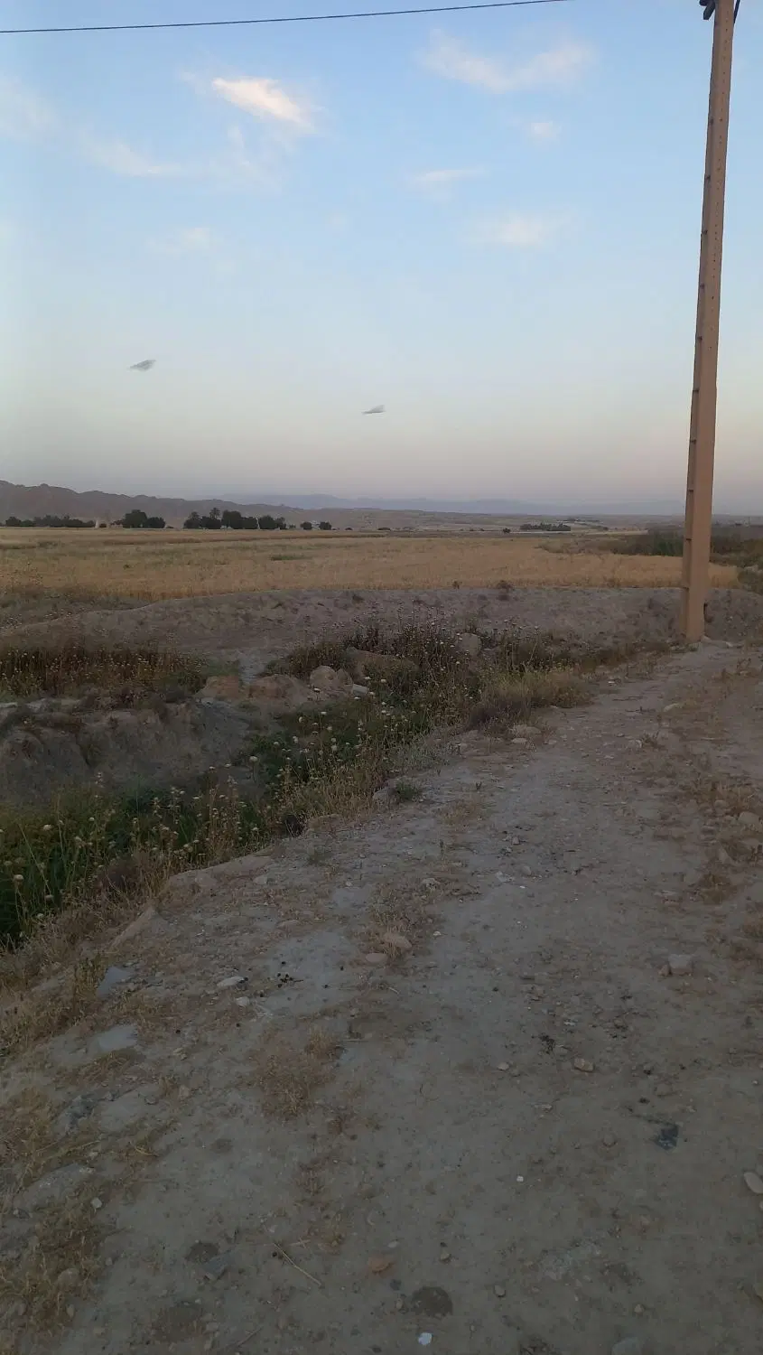 زمین کشاورزی جاده تغلی