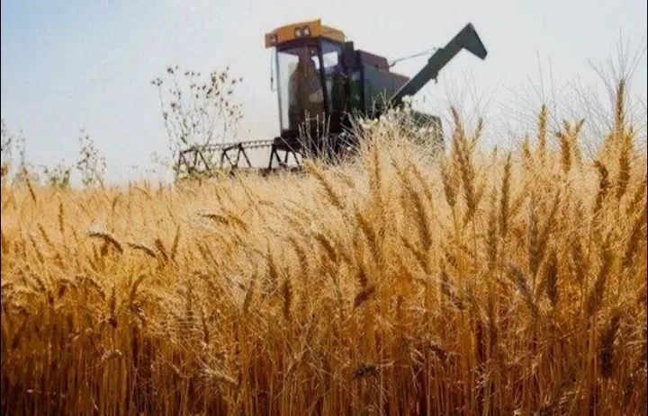 اجاره زمین کشاورزی