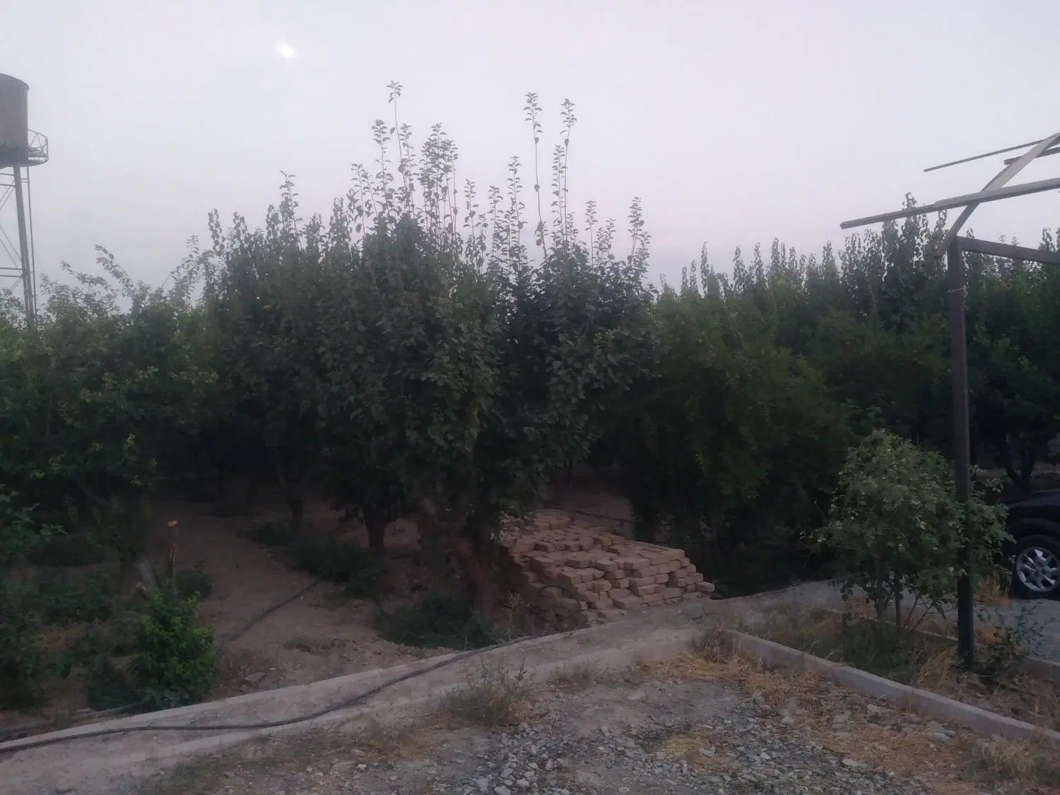 فروش