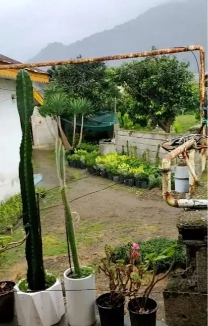 فروش فوق‌العاده زمین 1050متر به همراه خانه