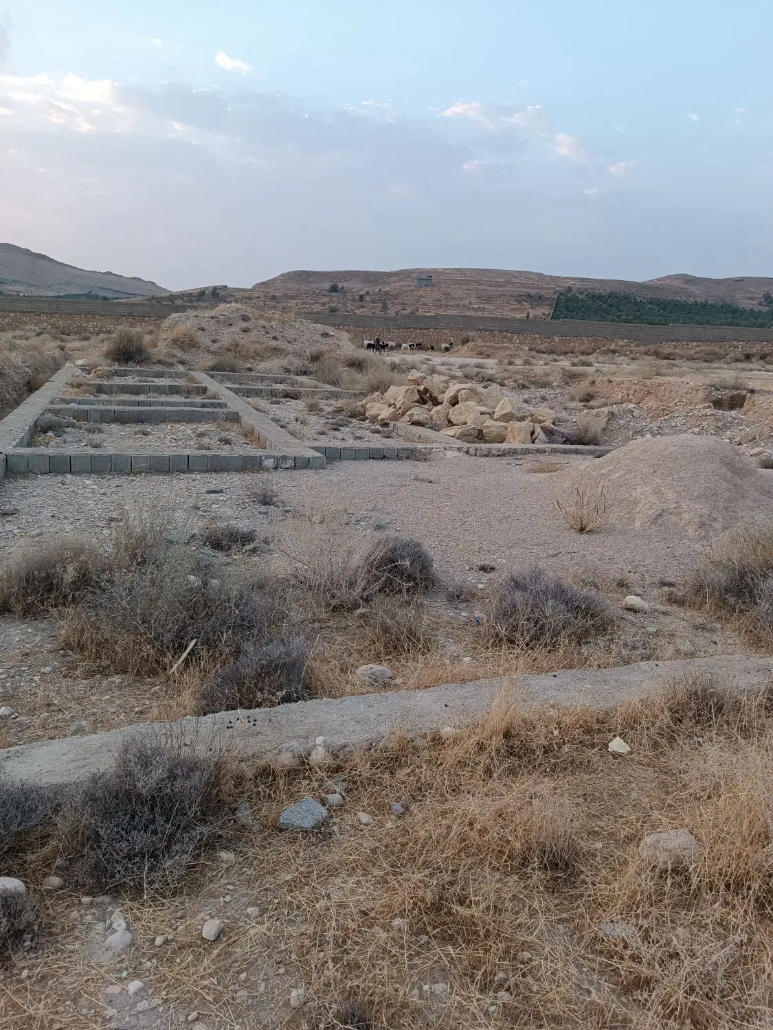 خرید زمین ارزشمند با موقعیت عالی قطعه ۴۶۵ نیک‌نیا