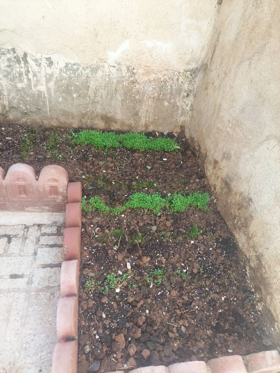 خانه کولنگی در تهران پیروزی