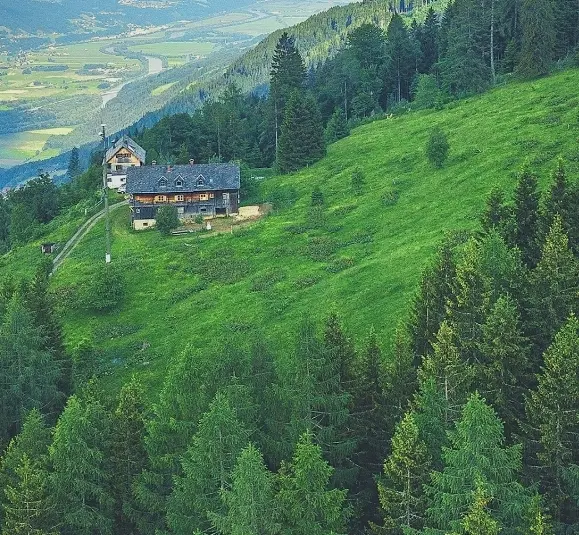 زمین باغی شهریار وحیدیه