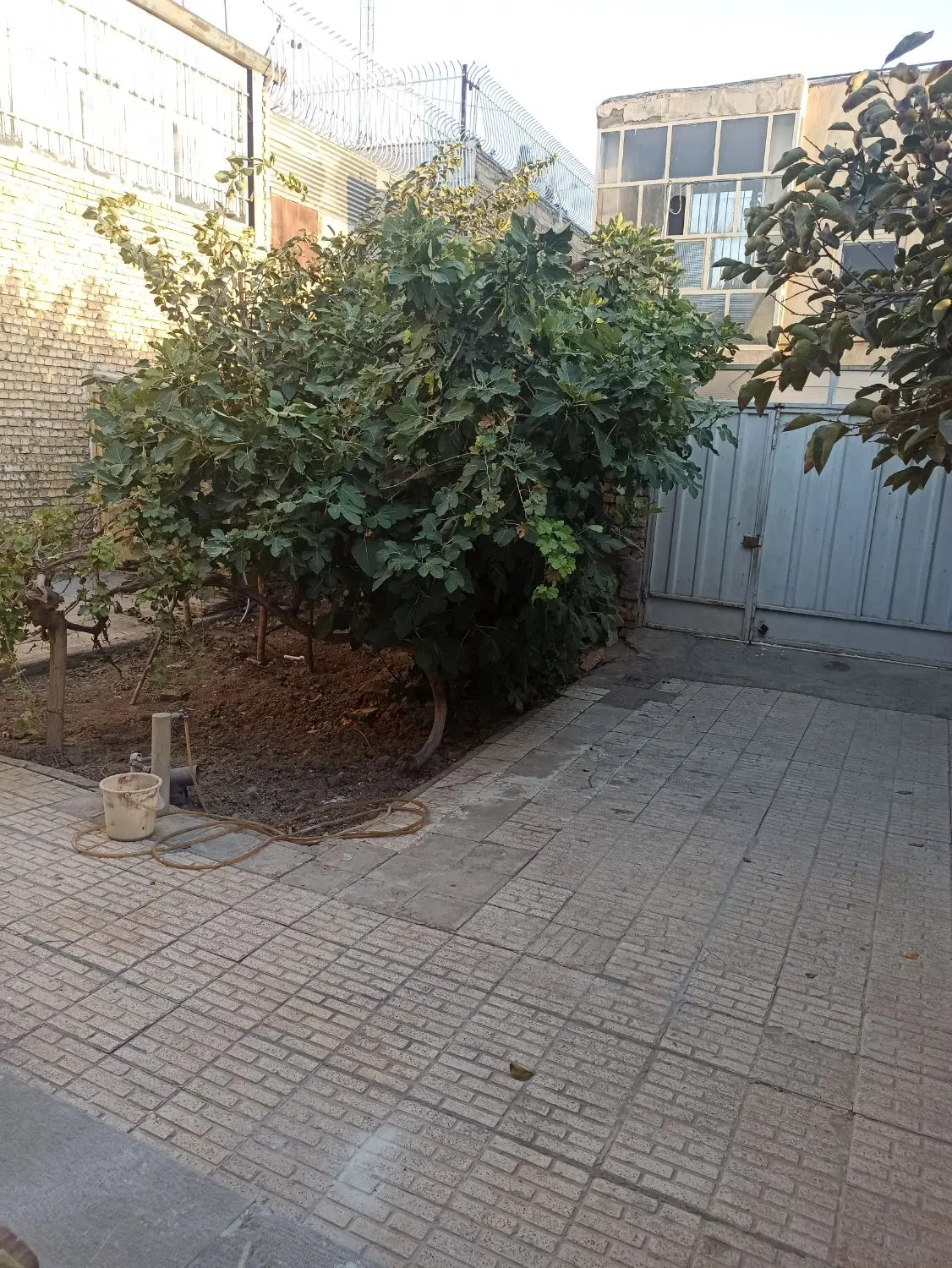 اجاره منزل ویلایی در بست
